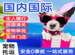 集宁航空快递国际宠物托运 【国
